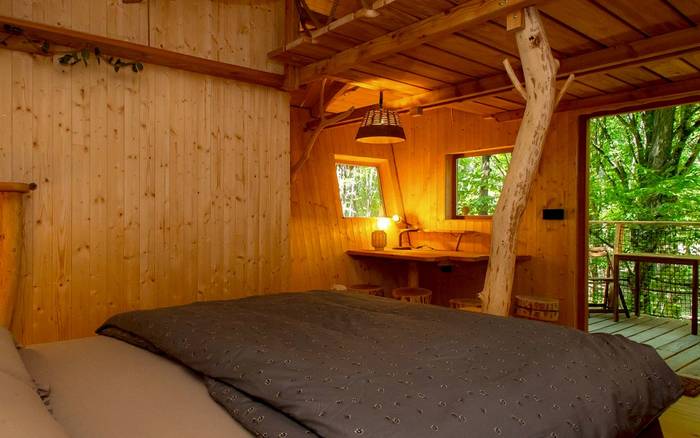 Treehouse VII