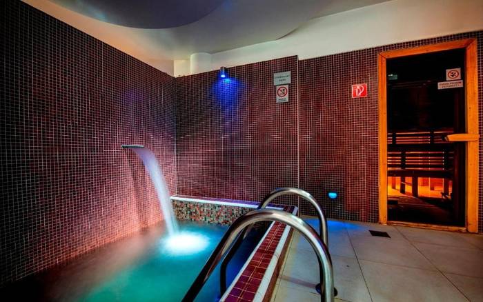 Wellness