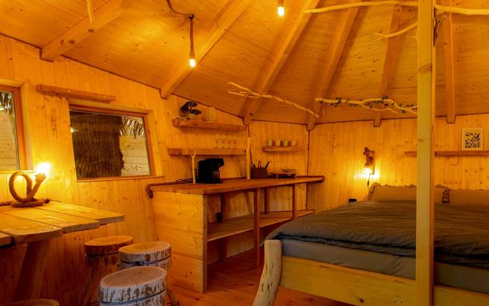 Treehouse VI