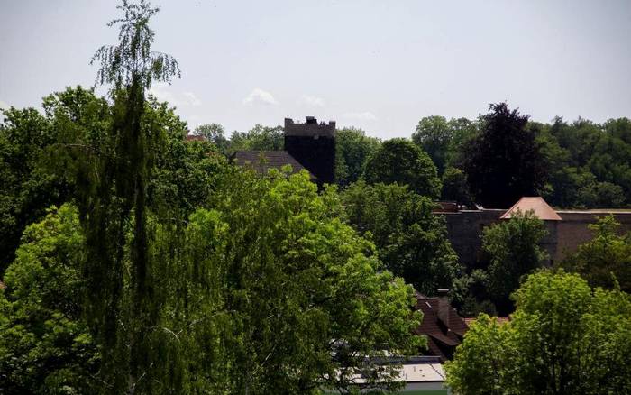 Výhled