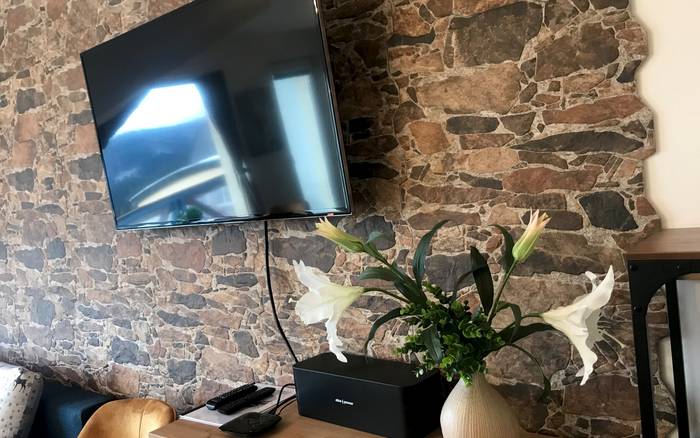 Televízia