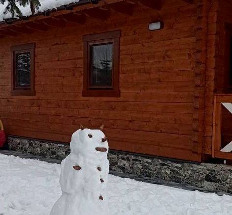 Drevenička Vodníček