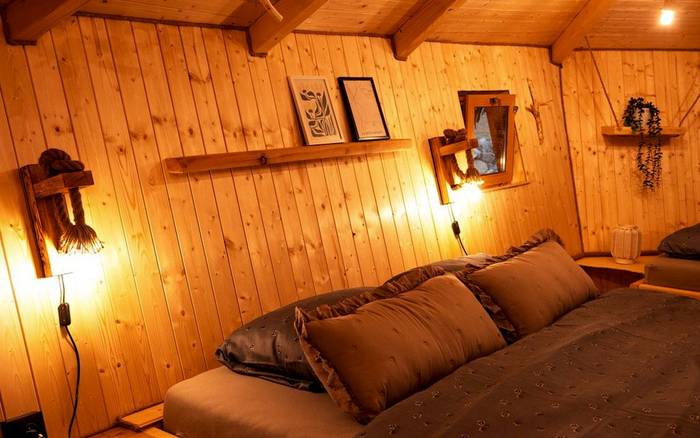 Treehouse VI