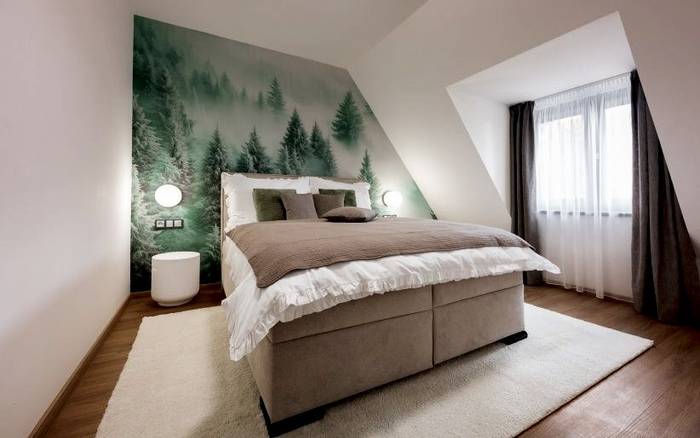 Ulrichova vila - Apartmán Deluxe