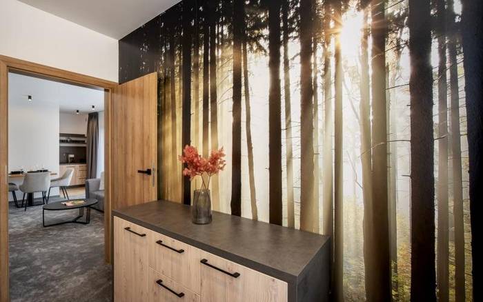 Apartmán s 1 spálňou Chalet Pod Brdom