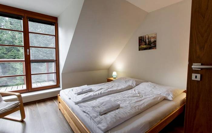 Apartmán Deluxe s kuchyňkou, terasou a balkonem pro 6 osob