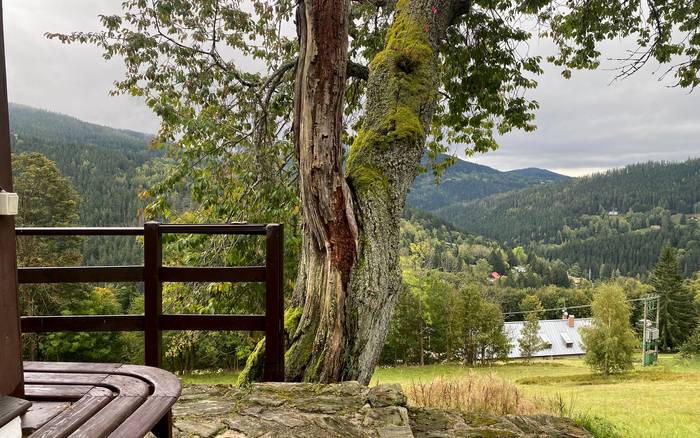 Wellness chata Labská