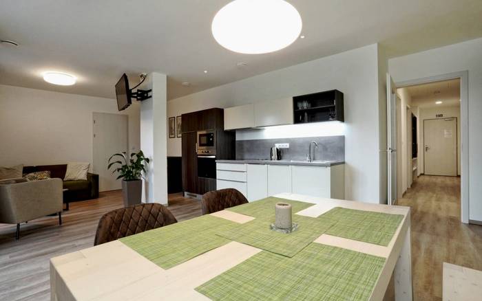 Apartmán Standard s terasou a výhledem na město
