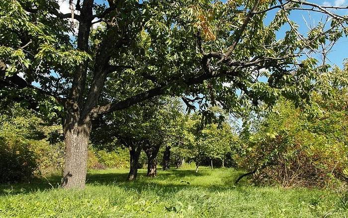 10 golfových rezortov a ihrisiek Slovenska