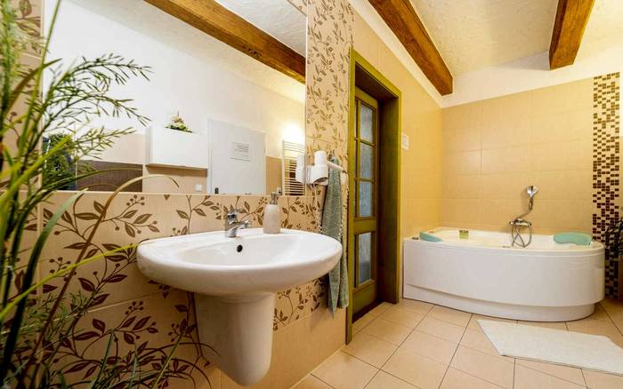 A1 Apartmán s vířivou vanou a akváriem