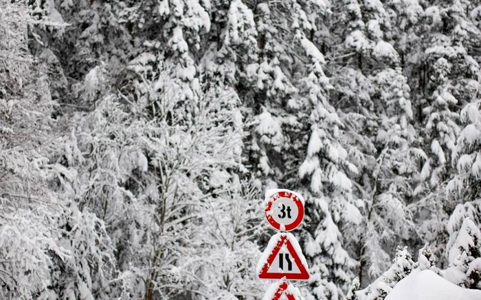 Котеджі BINDT