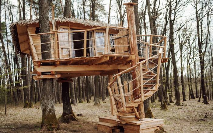 Treehouse III