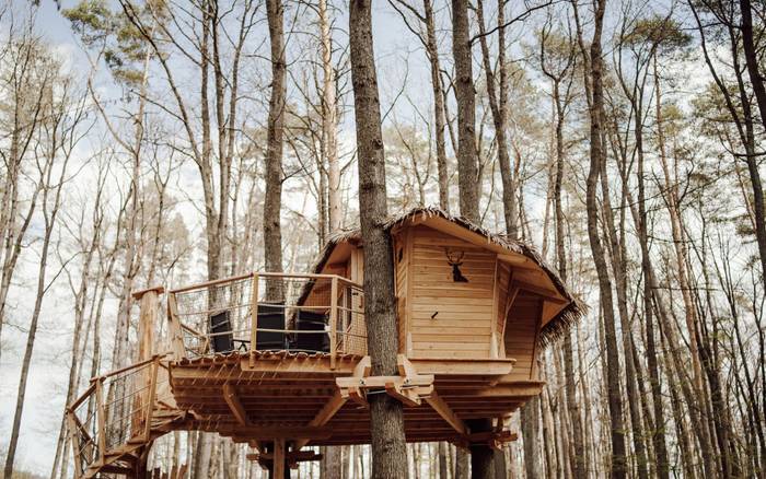 Treehouse III