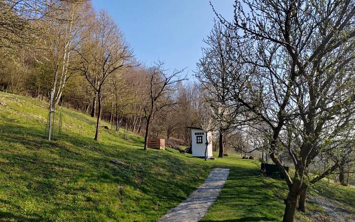Хатина в Новій Бошаці