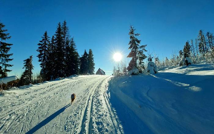 Tiny houses Tatry