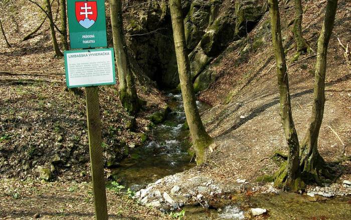 11 prekvapujúcich javov našej prírody