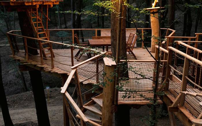 Treehouse VI