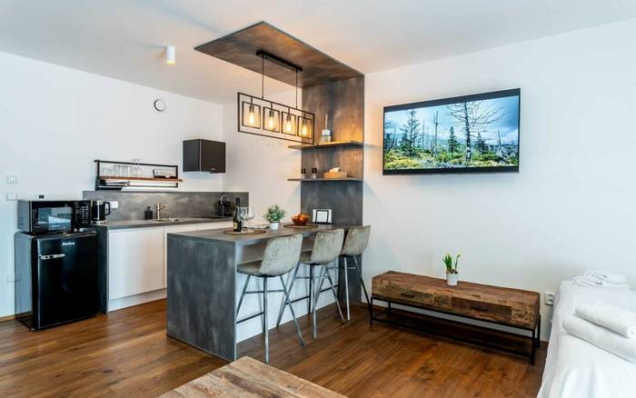 2.05 Slunný jednopokojový apartmán s balkonem