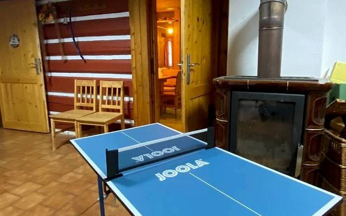 Stolní tenis