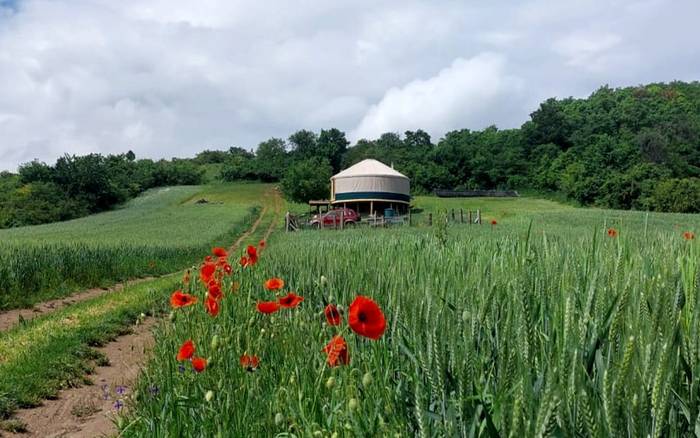Юрта під зірками