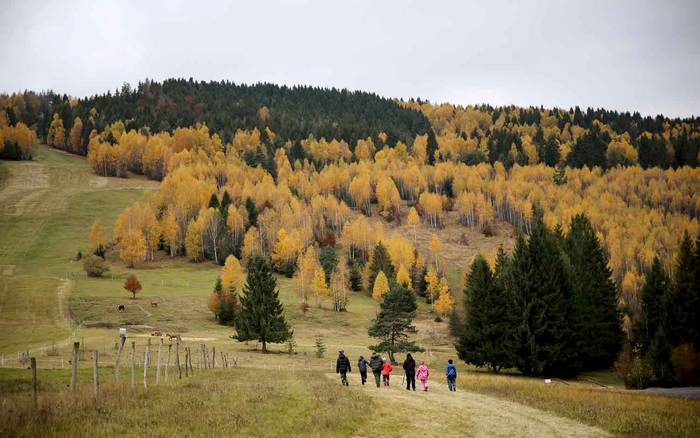 Гарні часи в Hlobišov