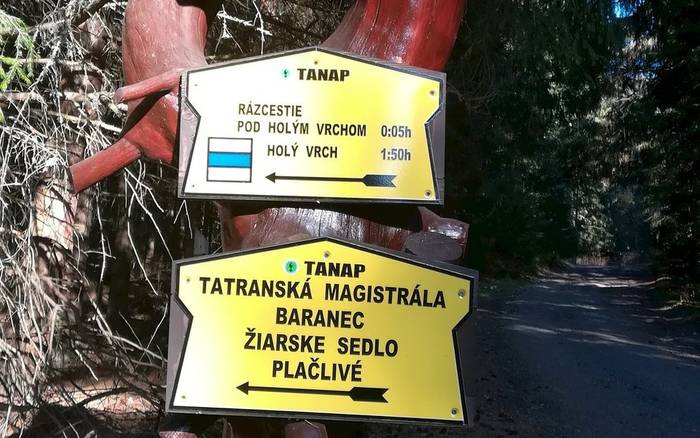 Хатина Мацо