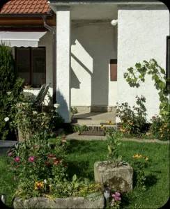 Exteriér