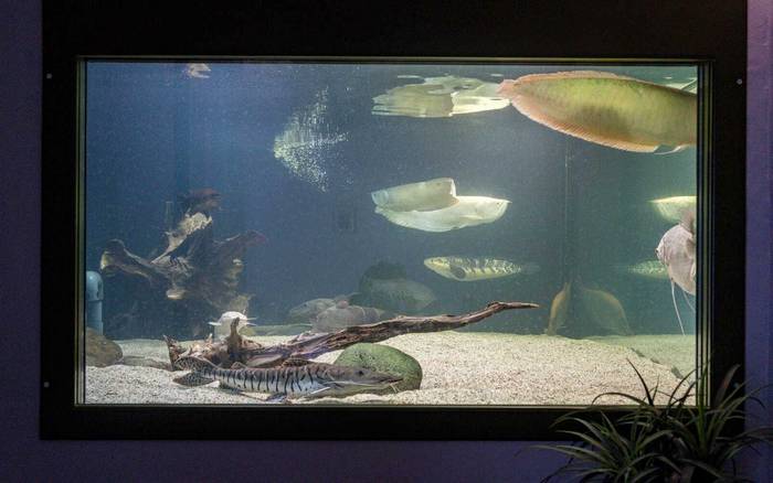 A1 Apartmán s vířivou vanou a akváriem