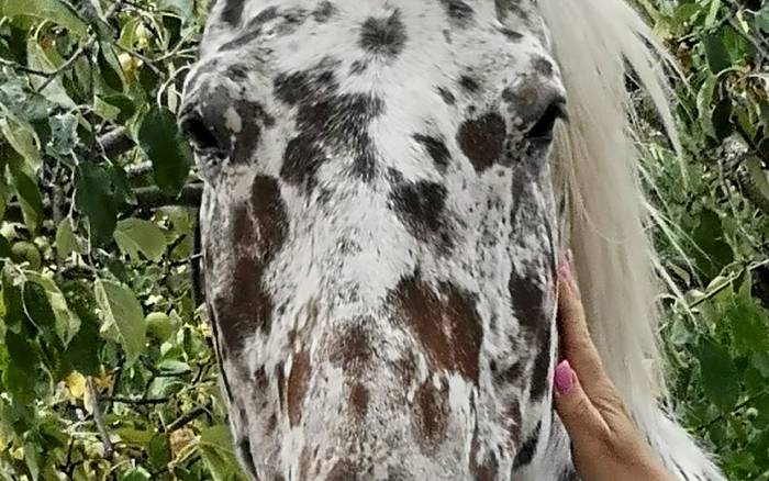 Kone