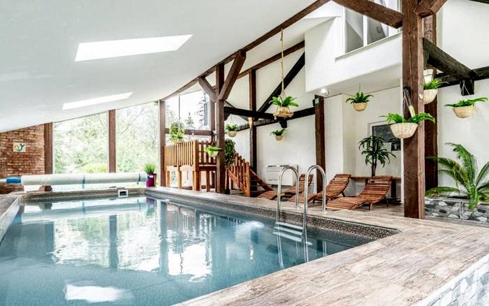 Wellness