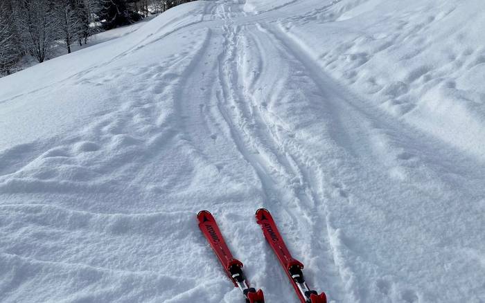 Wellness chata Labská