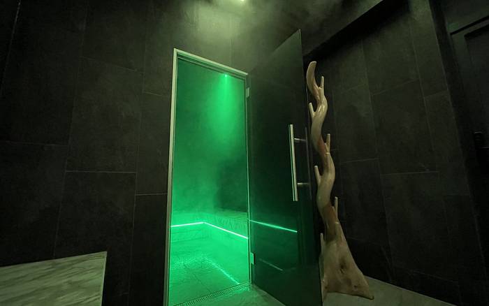 Wellness