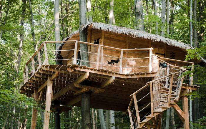 Treehouse II