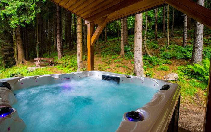 Wellness