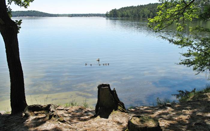 Máchovo jezero