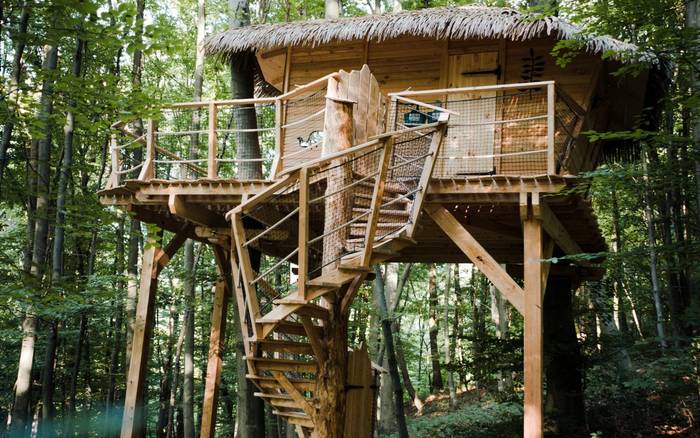 Treehouse II