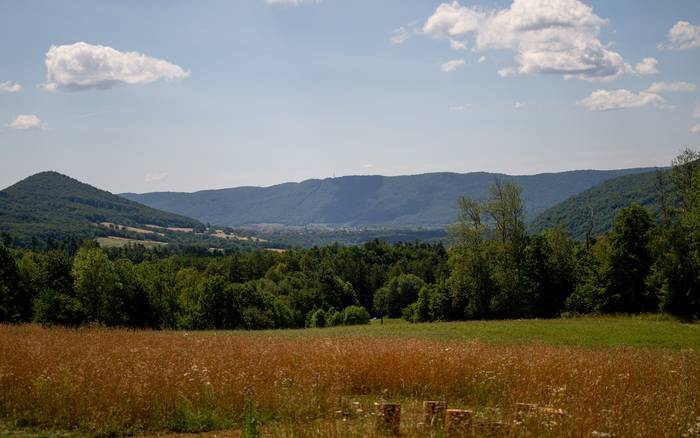 Apiatti Včelia Farma
