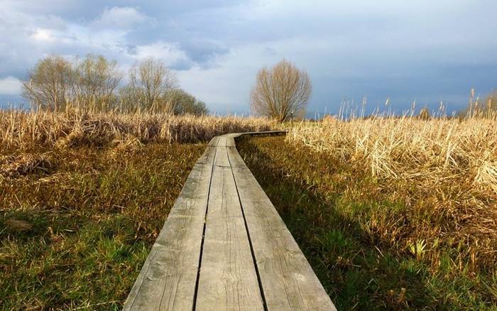 Výlet za prírodou: Senné - rybníky a vtáčí raj