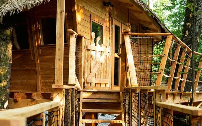 Treehouse VI