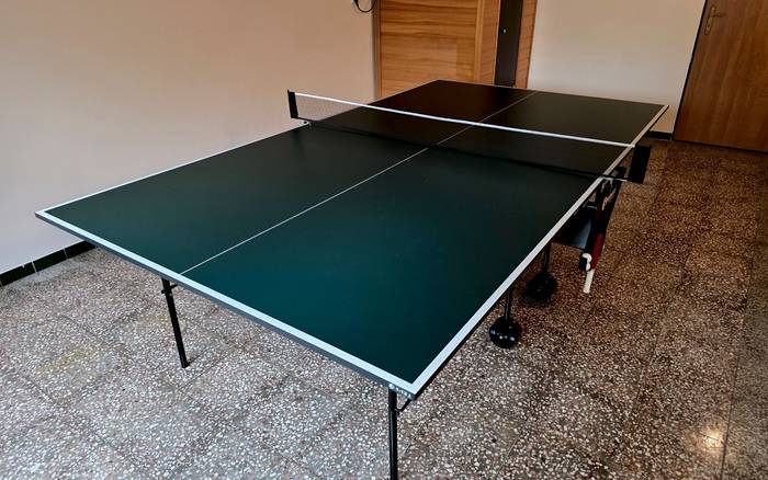 Stolní tenis