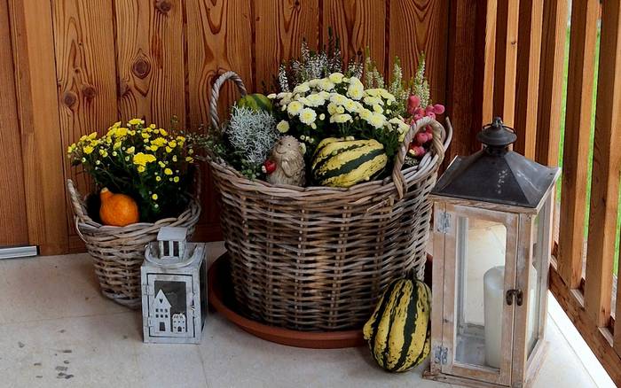 Drevenička Pokryváč