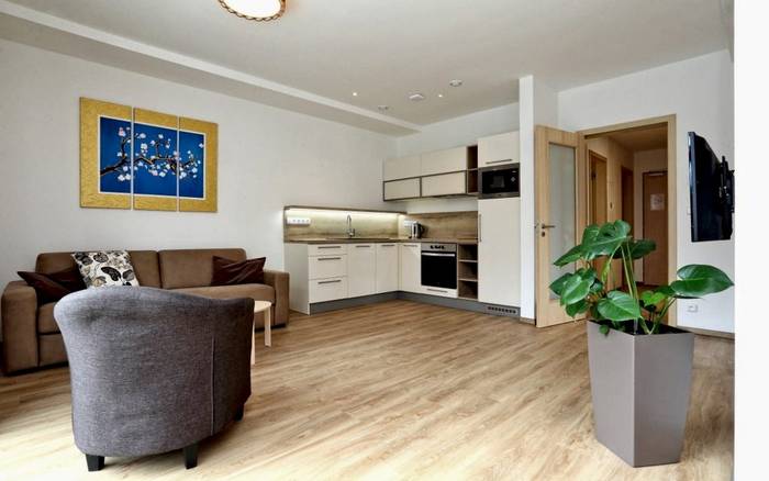 Rodinný Apartmán se 2 ložnicemi a balkonem