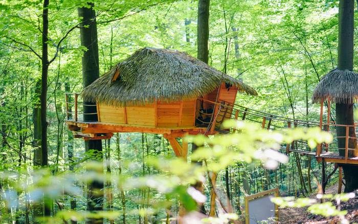 Treehouse I