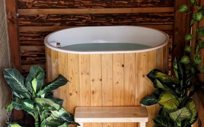 Wellness