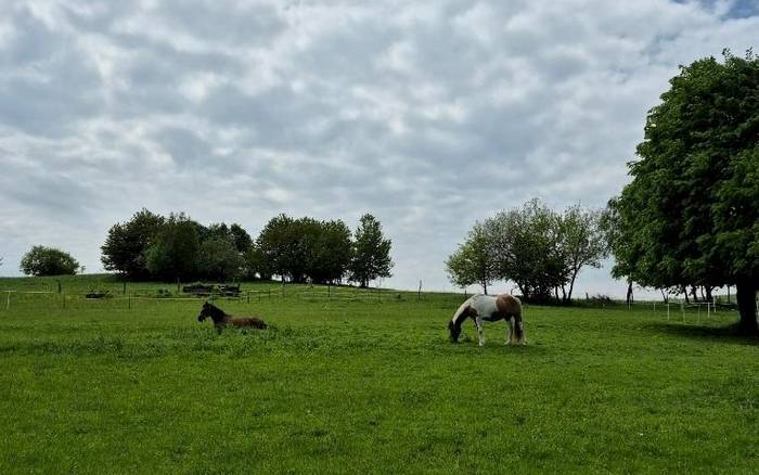 image of rental