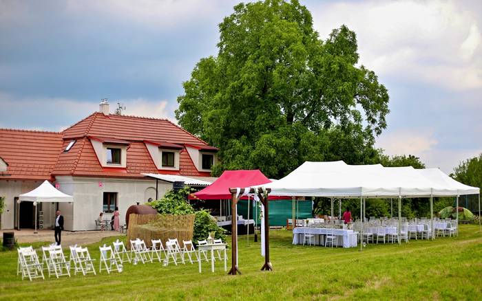 Svatba