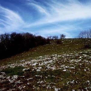 Nature trail Zobor I.