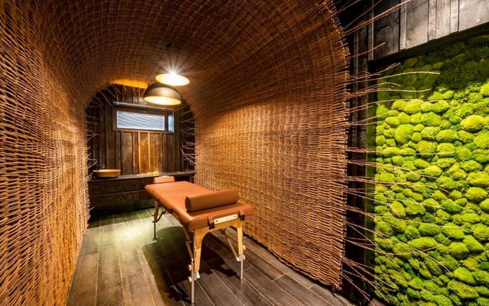 Wellness