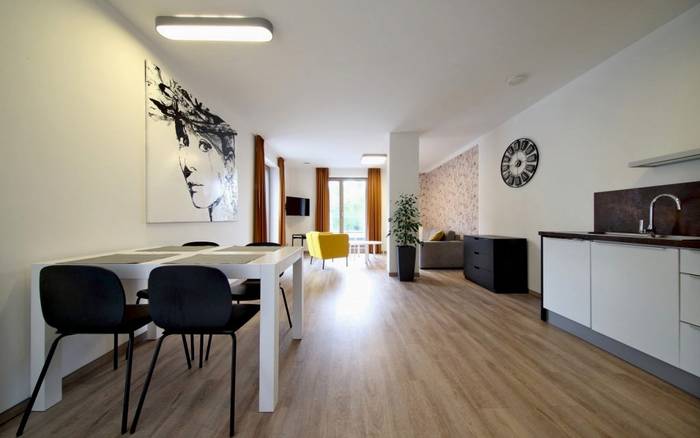 Apartmán Standard s terasou a výhledem na město