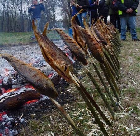 Výlet za prírodou: Senné - rybníky a vtáčí raj